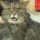 Illustration for article titled If you give a cat a bath...